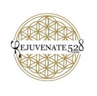 Rejuvenate 528 Medical Spa logo