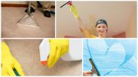 Big Deep Clean Services Logo
