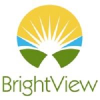 BrightView Springfield Addiction Treatment Center Logo