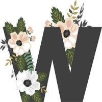 All Women’s Care Logo