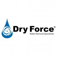 Dry Force Logo