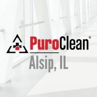 PuroClean Disaster Mitigation Logo