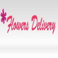 Same Day Flower Delivery Houston Logo