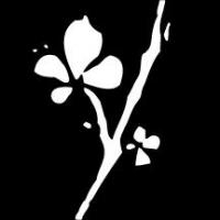 Instinct Holistic Medical Spa Logo