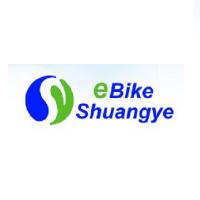 electric road bike factory - zhsydz Logo