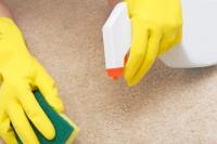 Daysol Cleaning Logo