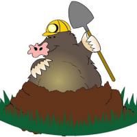 Tuff Turf Molebusters Logo