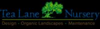 Tea Lane Nursery Logo