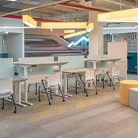 Mogwai Collaborative Logo