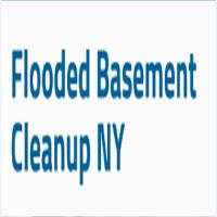Queens Flooded Basement Clean Up Logo