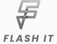 Flash IT Managed Services Provider Logo