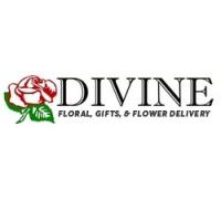 Divine Floral, Gifts & Flower Delivery Logo