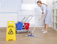 Custom Home Cleaners Logo