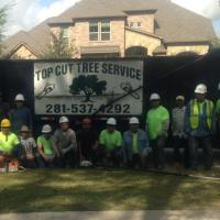 Top Cut Tree Service Logo