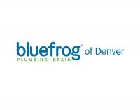 blueFrog Plumbing + Drain of Denver Logo