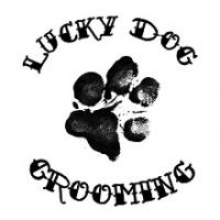 Lucky Dog Grooming Logo