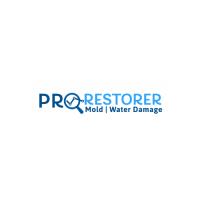 DC Mold Inspection & Removal - Pro Restorer Logo