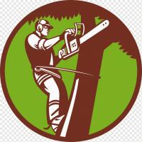 Tree Service Panama City FL Logo