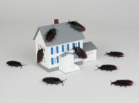 A Ban Exterminators Logo