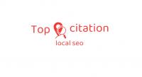 Top Citation Logo