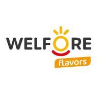 WelFore Flavors Health & Wellness Smoothie Bar Logo