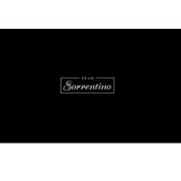 Team Sorrentino Logo