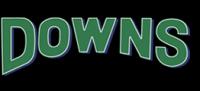 Downs Drain & Septic Service Logo
