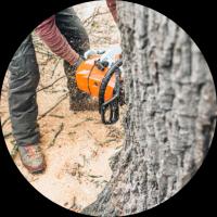Tree Service Kalamazoo MI Logo