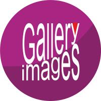 STANEWSKI LLC (Gallery Images) Logo