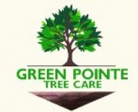 Green Pointe Tree Care Logo