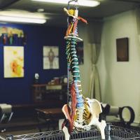 Mejia Chiropractic of Yuma Logo