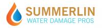 Summerlin Water Damage Pros logo