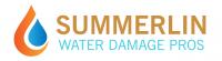 Summerlin Water Damage Pros Logo