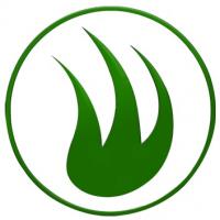DFW Turf Solutions Logo