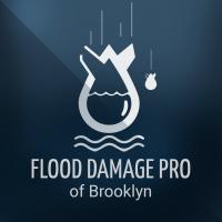 Flood Damage Pro of Brooklyn Logo