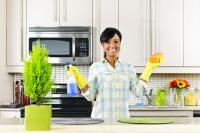 Brazilian Cleaning LLC Logo