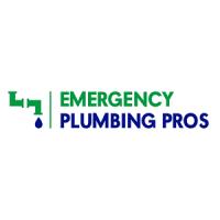 Emergency Plumbing Pros of Bellevue Logo