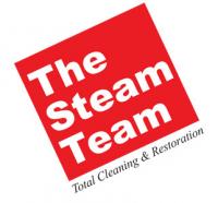 The Steam Team logo