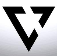 Vertical Chiropractic Logo