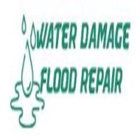 Topline Damage Restoration Denver Logo