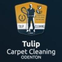 Tulip Carpet Cleaning Odenton Logo