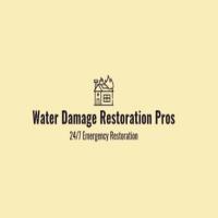 Water Damage Restoration Pros Logo