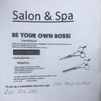 The Salon & Spa  Logo