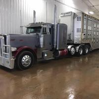 Dustar Truck & Trailer Wash Out Logo