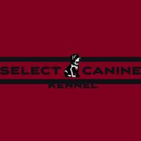 Select Canine Kennel logo