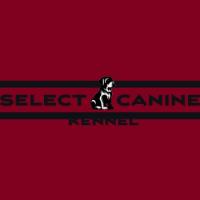 Select Canine Kennel Logo