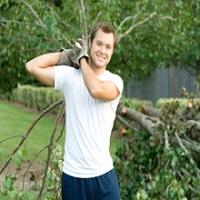 Monstrosity Tree Service LLC Logo
