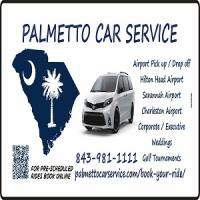Palmetto Car Service Logo