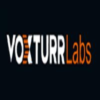 VoxturrLabs Logo