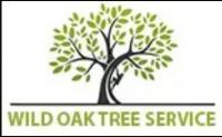 Round Rock Tree Experts Logo